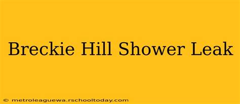 leaked breckie hill shower video|Breckie Hill